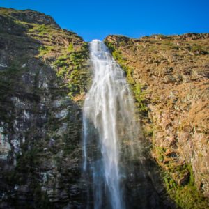 IMG_1465